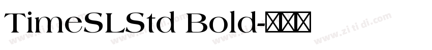 TimeSLStd Bold字体转换
